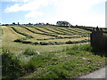 Hayfields on McKays Road