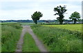 Peddars Way near Merton