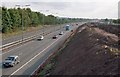 Widening the M5 motorway, Norton