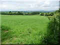 Sheep field on the north side of Church Road