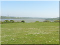 The Pembrokeshire Coast Path near Lambeeth Farm