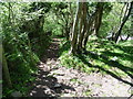 The Pembrokeshire Coast Path near Pennar