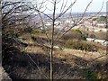 Abandoned allotments at Ore with Hastings beyond