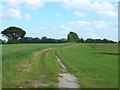 Path between Old Lane and Millbank Lane