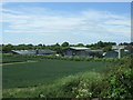 Crop field, Chiswick End