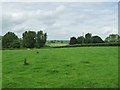 Sheep pasture, east of Greidol