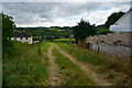 Lapford : Grassy Track