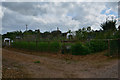 Mid Devon : Lapford Allotments