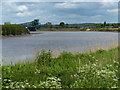 The River Trent at Burringham