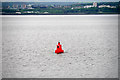 NT2282 : North Channel Buoy Number 12 by David Dixon