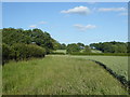 Footpath to Coakham Farm