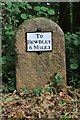 Old Milestone north west of the B4363, Woodgate