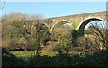 SW9451 : Viaduct near Coombe by Derek Harper