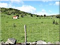 Rough grazing on the eastern slopes of The Anagh