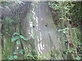 Possible drilled blasting holes in rock at Bryn Bella cutting, Bethesda