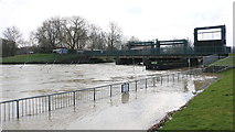 TL1697 : River Nene in Flood by Kenneth Ince