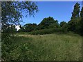 Rough Ground on Primrose Hill