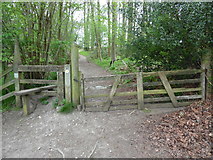SU7890 : Stile and Gate leading into Fingest Wood by David Hillas