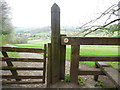 SU7890 : Stile and Gate looking towards Fingest by David Hillas