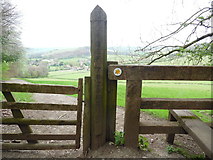 SU7890 : Stile and Gate looking towards Fingest by David Hillas