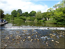 SK2168 : The River Wye Bakewell by Chris Gunns