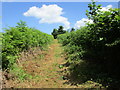 Track to Dene Magna School