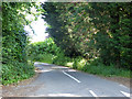 Lane north from Pond Farm