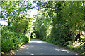 Lane towards Cornard Tye