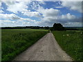 Roman road, Greenway Road, heading south through farmland