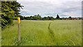 Waymarker and path between Skegby and Mansfield