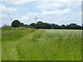 Field edge near Gunns Farm