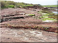 The Pembrokeshire Coast Path near Cliff Cottage