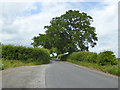 Lane between Middlewood Green and Mendlesham Green