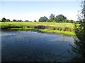 A field pond near Creamore