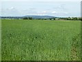 A view to Brown Clee Hill