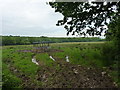 Rough grazing in a field east of Bryngors Uchaf