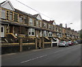 Newport Road houses, Hollybush