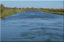 TL3672 : River Great Ouse by N Chadwick