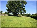 Footpath and Meadow near Stone