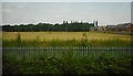 New housing development site, Buckshaw Village