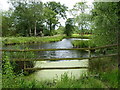 Pond at Three Maypoles