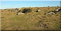 Rocks on Treswallock Downs