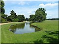 The Horse Pond in Woburn Park, Bedfordshire