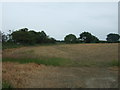 Field and hedgerow, Reddingrig Muir