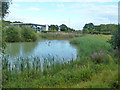 Hailsham Country Park lake