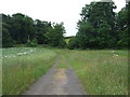 Track towards Inveravon