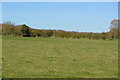 TL3470 : Grassland pasture by N Chadwick