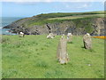 The Pembrokeshire Coast Path near Aber Draw