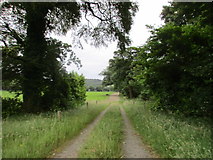 S8524 : Farm track near Ballyshannon by Jonathan Thacker