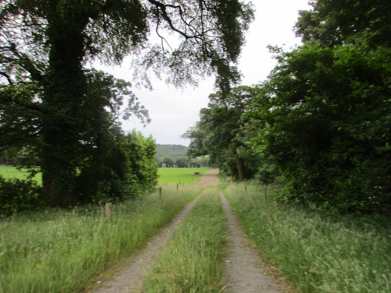 Farm track near Ballyshannon © Jonathan Thacker :: Geograph Ireland